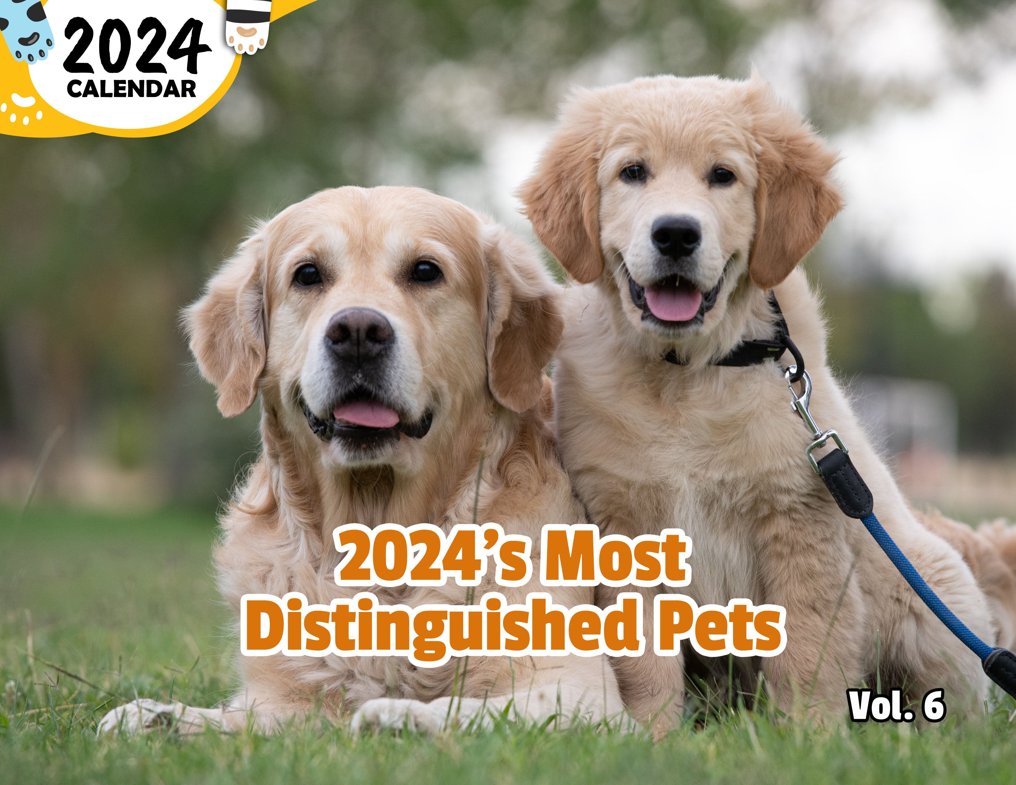 2024's Most Distinguished Pets Volume Six: 2024 Wall Calendar (Published)
