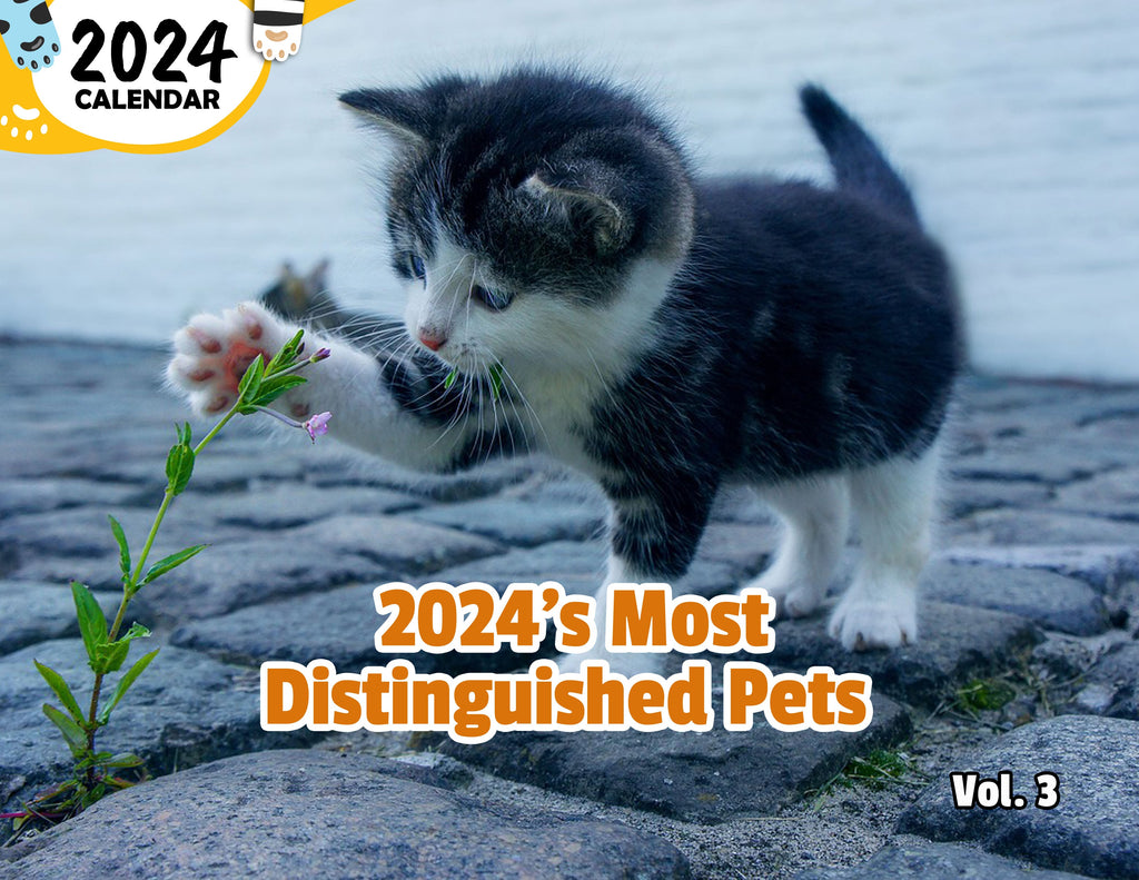 2024's Most Distinguished Pets Volume Three: 2024 Wall Calendar (Published)