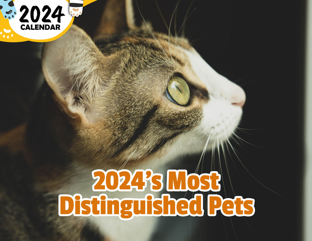2024's Most Distinguished Pets: 2024 Wall Calendar (Published)