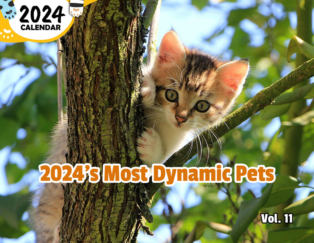 2024's Most Dynamic Pets Volume Eleven: 2024 Wall Calendar (Published)