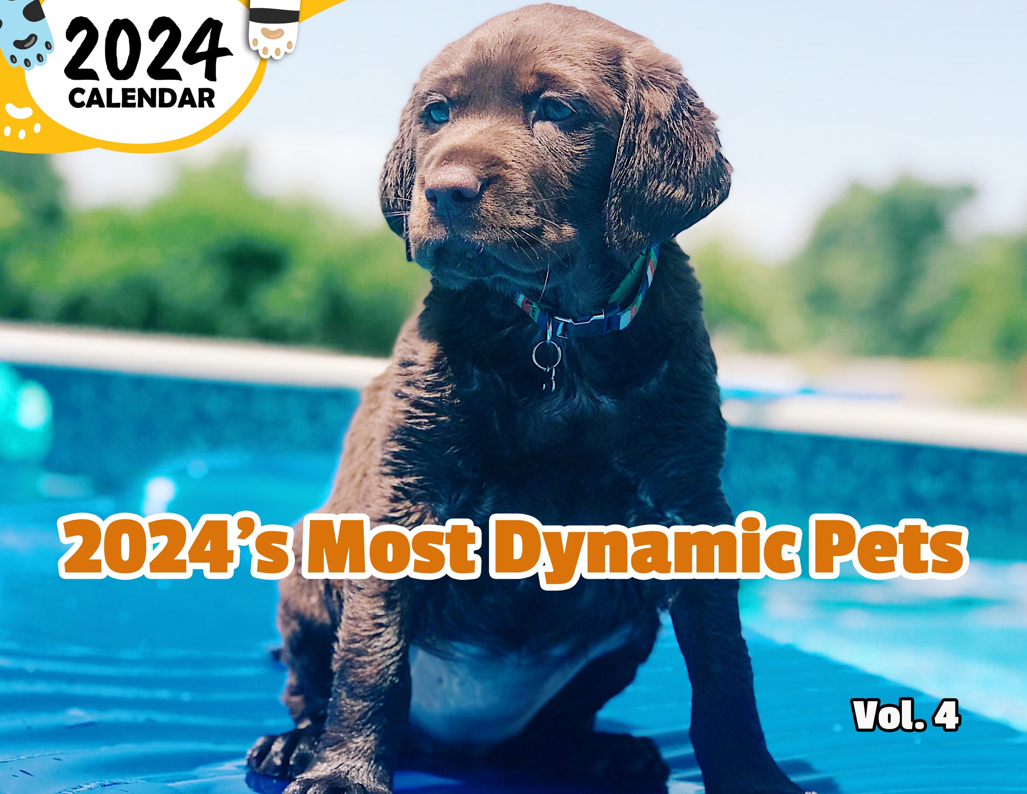 2024's Most Dynamic Pets Volume Four: 2024 Wall Calendar (Published)