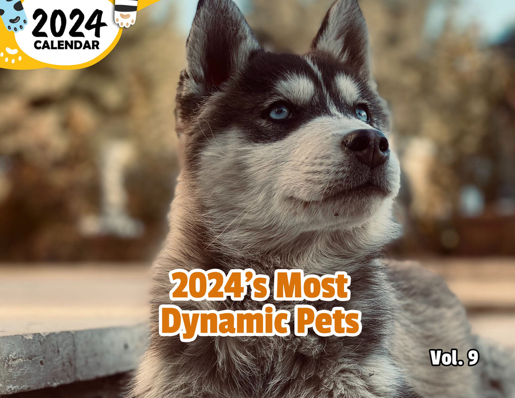2024's Most Dynamic Pets Volume Nine: 2024 Wall Calendar (Published)
