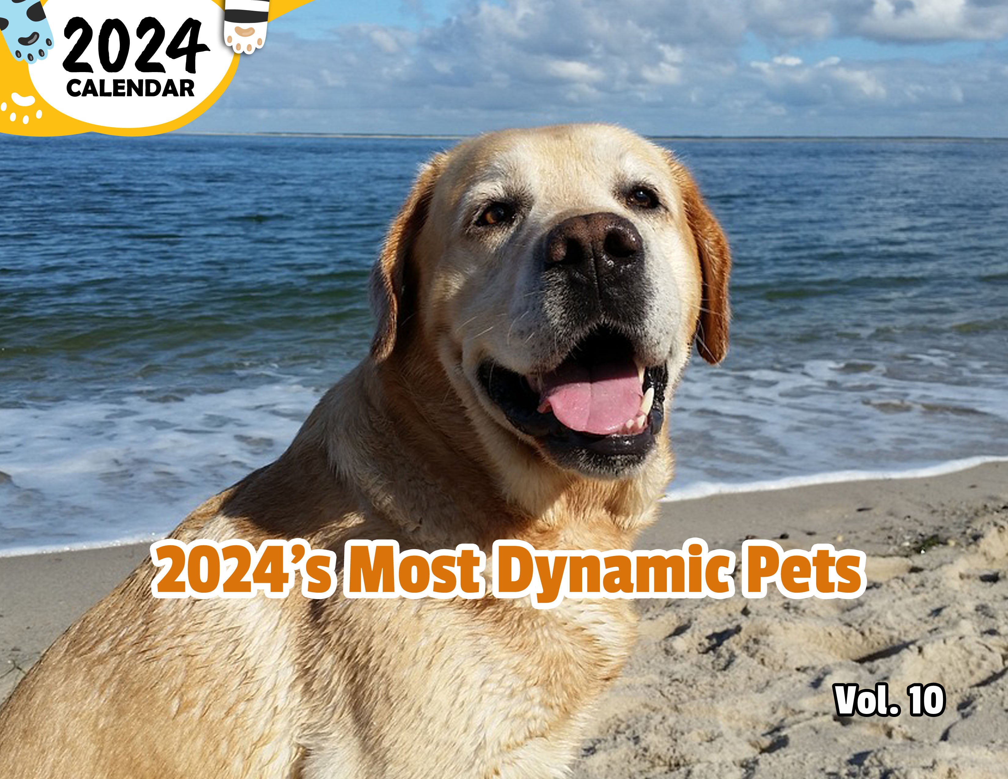 2024's Most Dynamic Pets Volume Ten: 2024 Wall Calendar (Published)