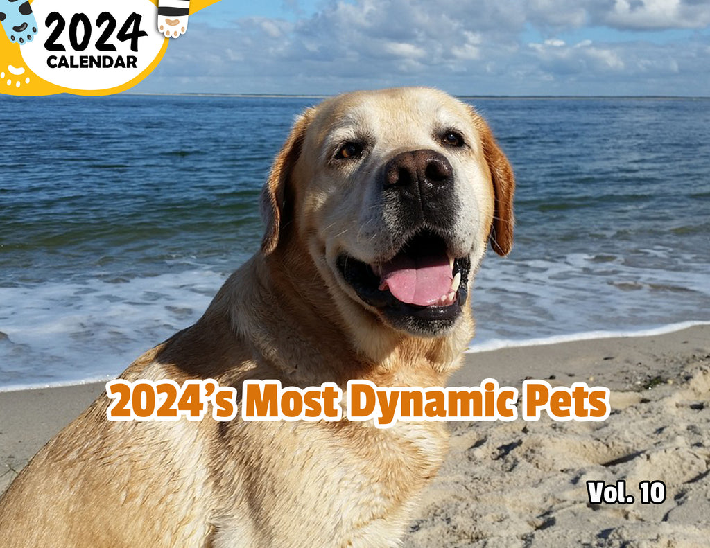 2024's Most Dynamic Pets Volume Ten: 2024 Wall Calendar (Published)