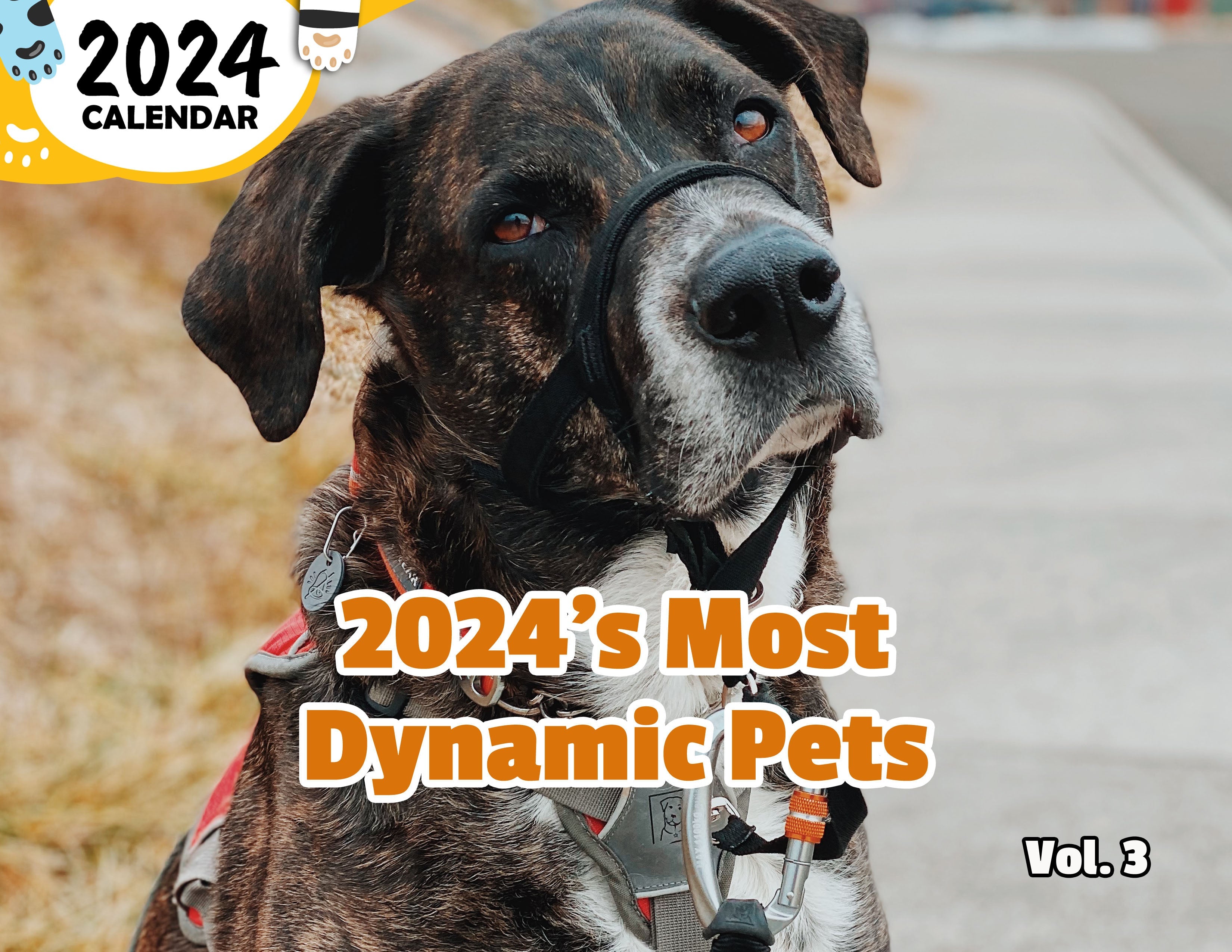 2024's Most Dynamic Pets Volume Three: 2024 Wall Calendar (Published)
