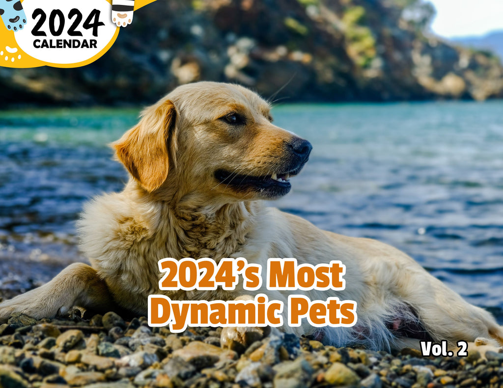 2024's Most Dynamic Pets Volume Two: 2024 Wall Calendar (Published)