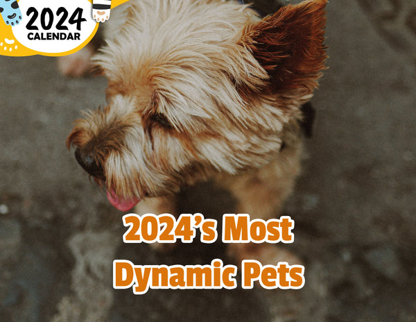 2024's Most Dynamic Pets: 2024 Wall Calendar (Published) – Praise My Pet!