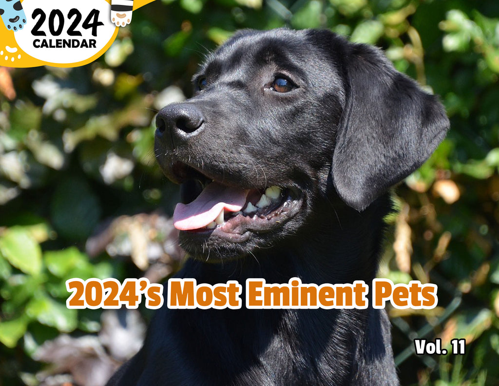 2024's Most Eminent Pets Volume Eleven: 2024 Wall Calendar (Published)