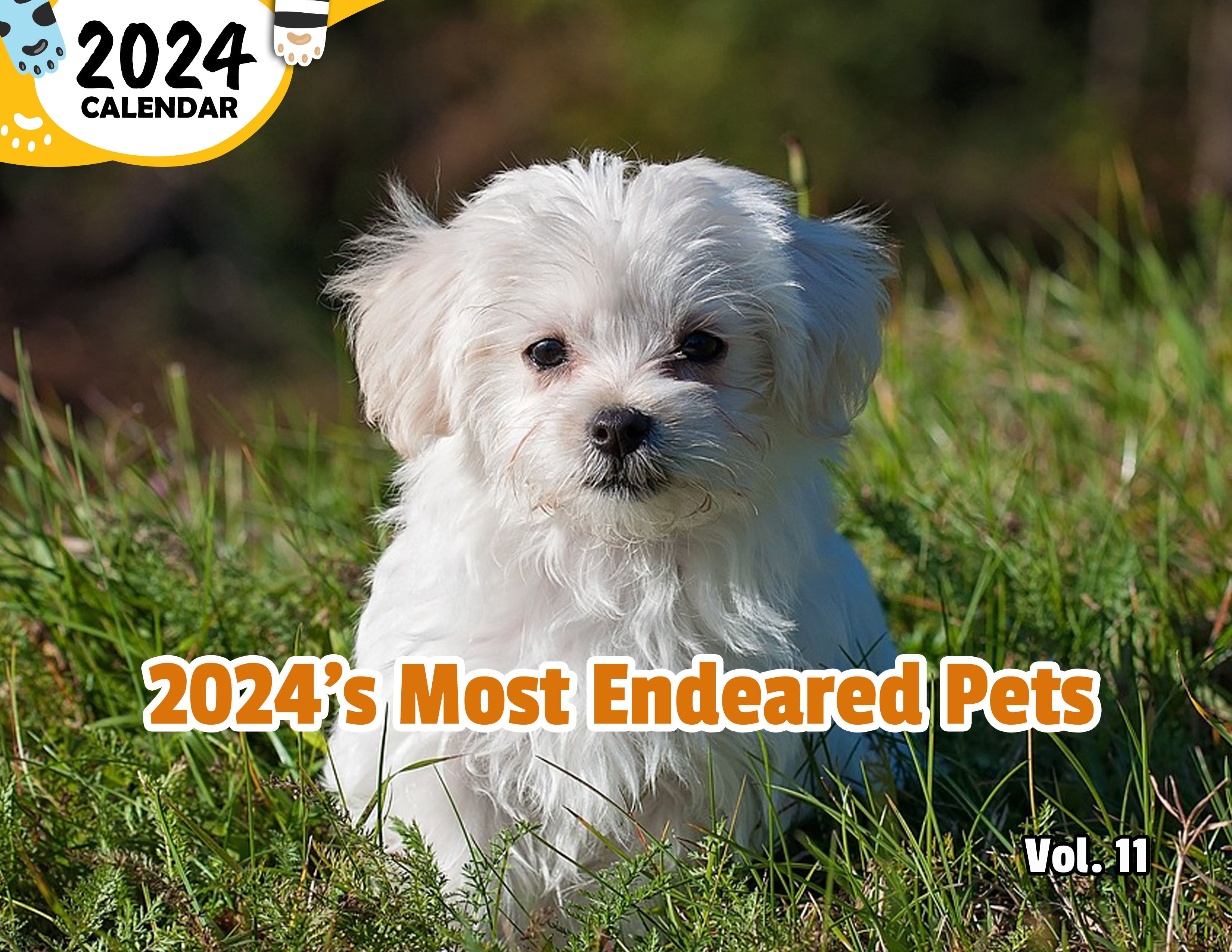2024's Most Endeared Pets Volume Eleven: 2024 Wall Calendar (Published)
