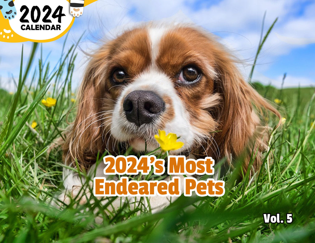 2024's Most Endeared Pets Volume Five: 2024 Wall Calendar (Published)
