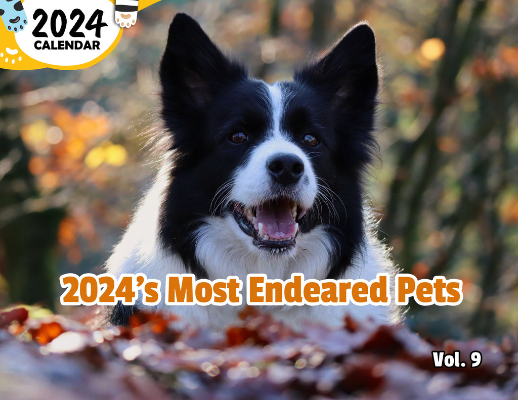 2024's Most Endeared Pets Volume Nine: 2024 Wall Calendar (Published)