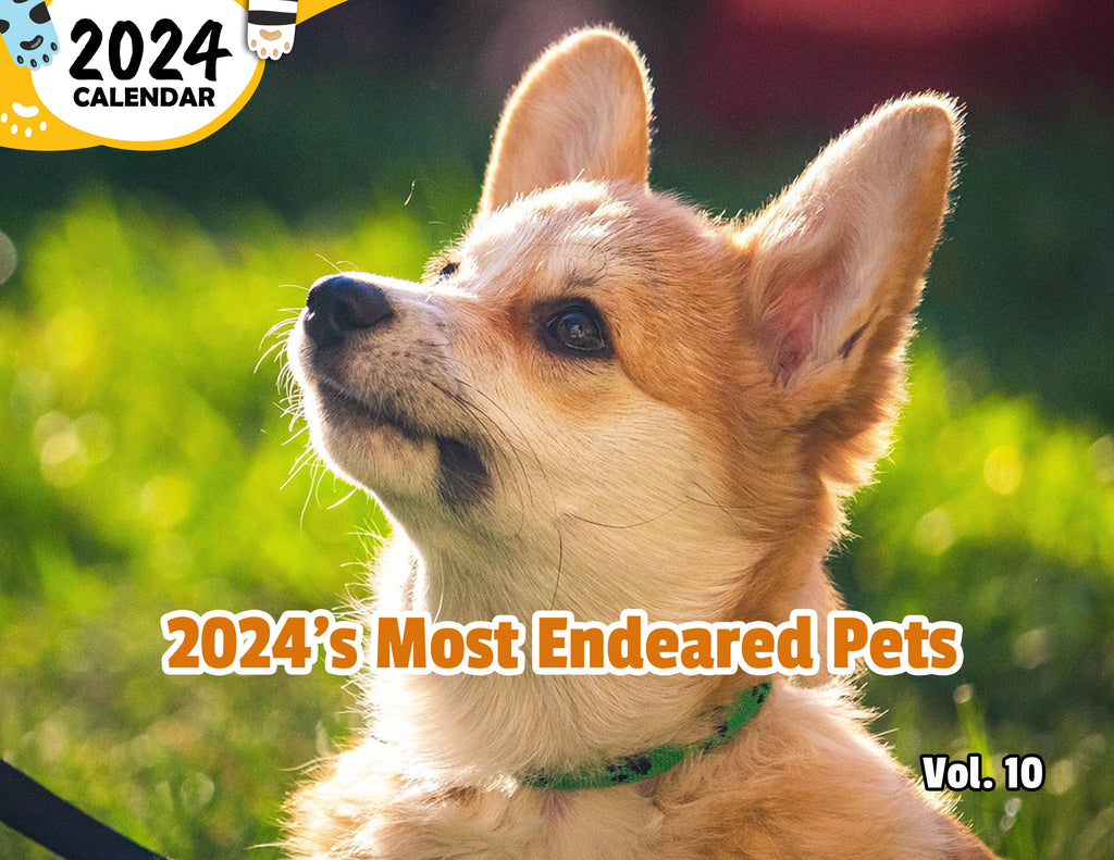 2024's Most Endeared Pets Volume Ten: 2024 Wall Calendar (Published)