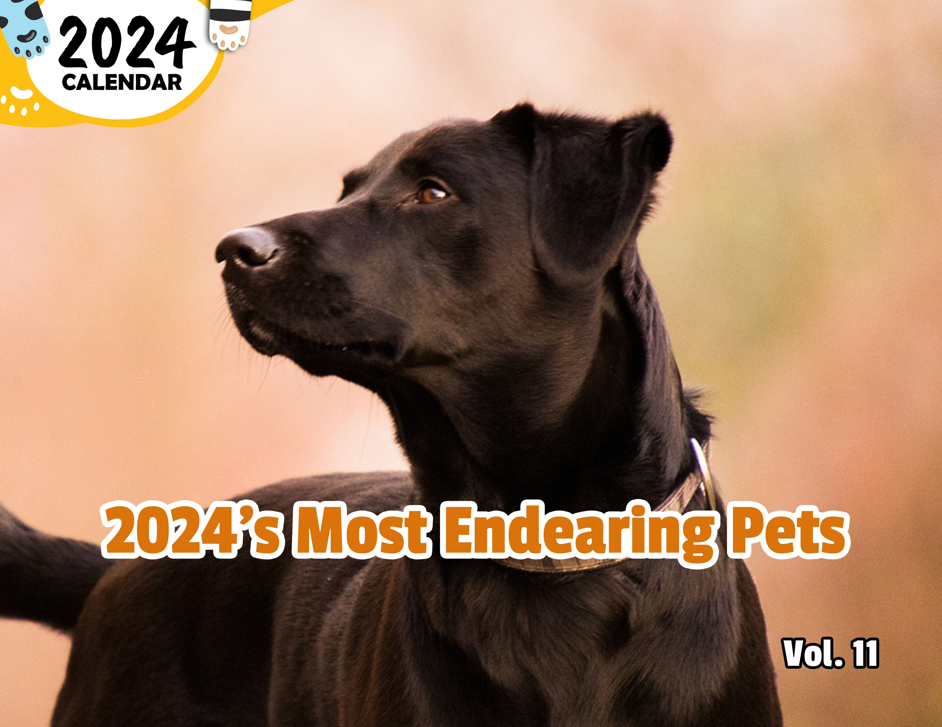 2024's Most Endearing Pets Volume Eleven: 2024 Wall Calendar (Published)