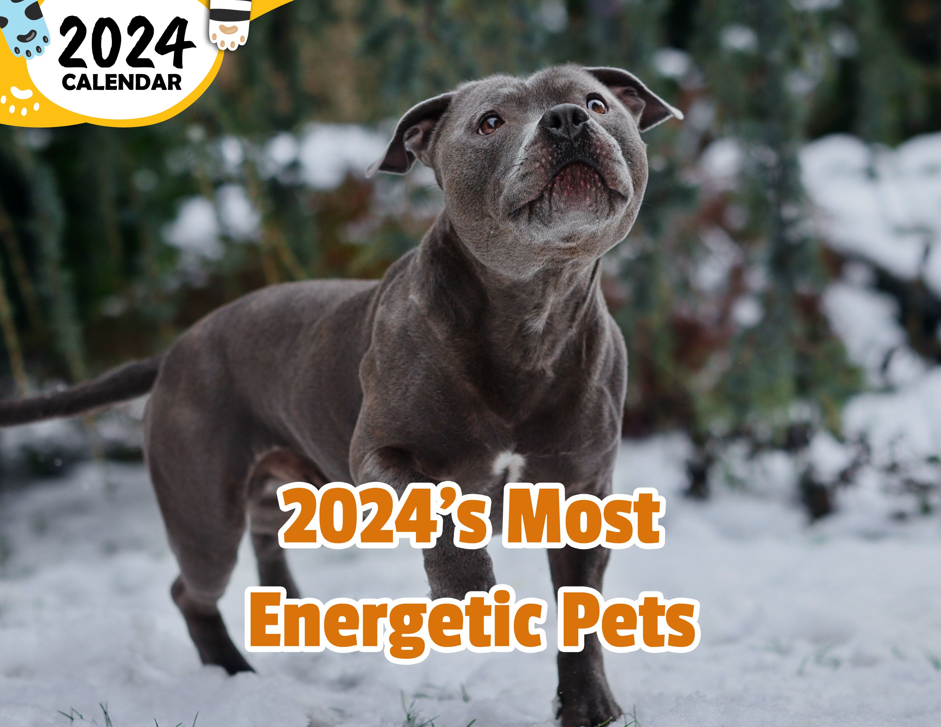 2024's Most Energetic Pets: 2024 Wall Calendar (Published)