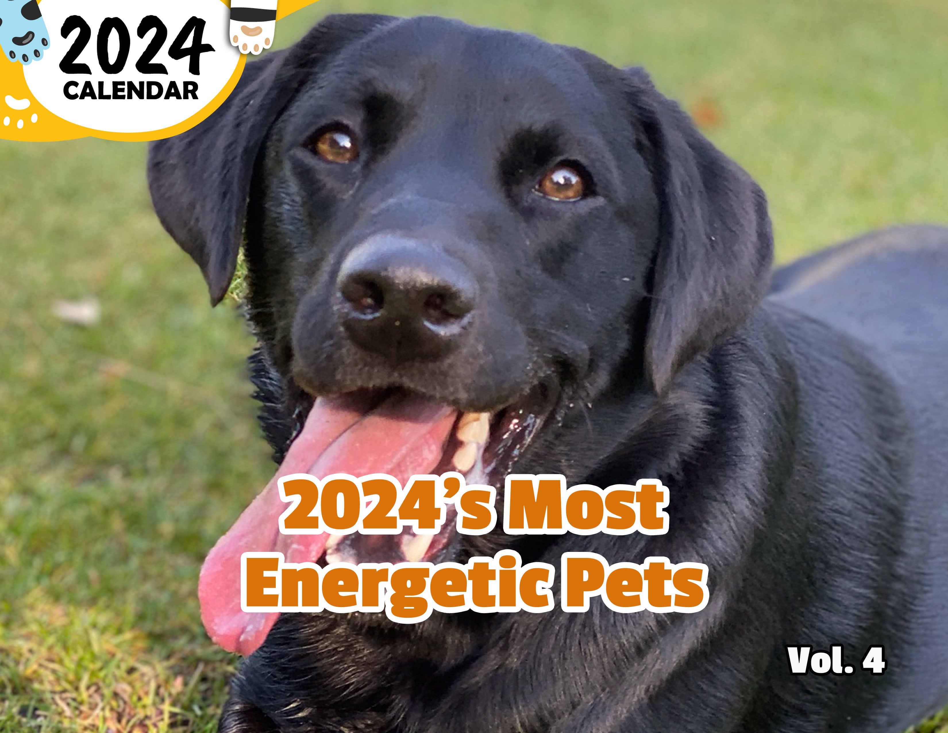 2024's Most Energetic Pets Volume Four: 2024 Wall Calendar (Published)