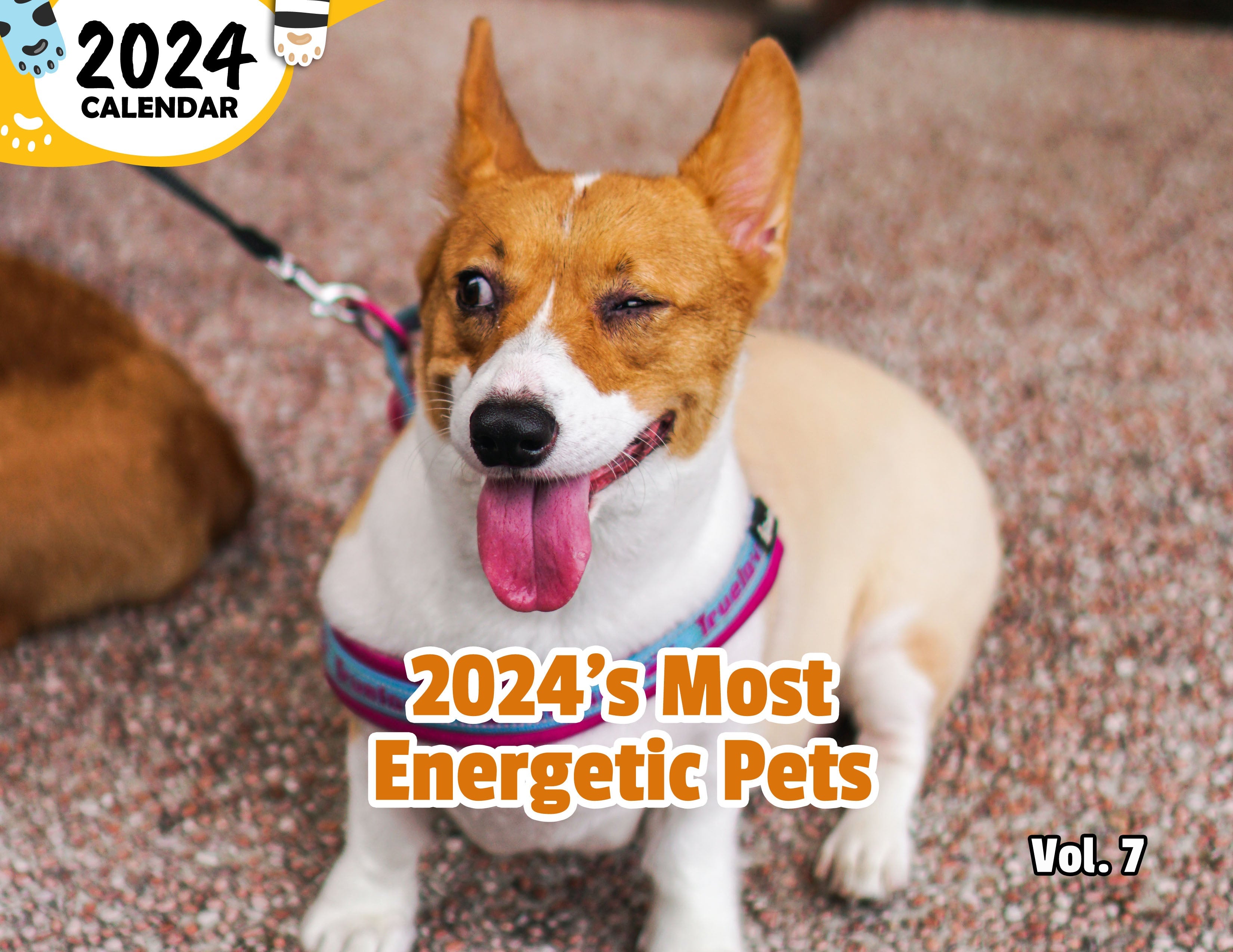 2024's Most Energetic Pets Volume Seven: 2024 Wall Calendar (Published)