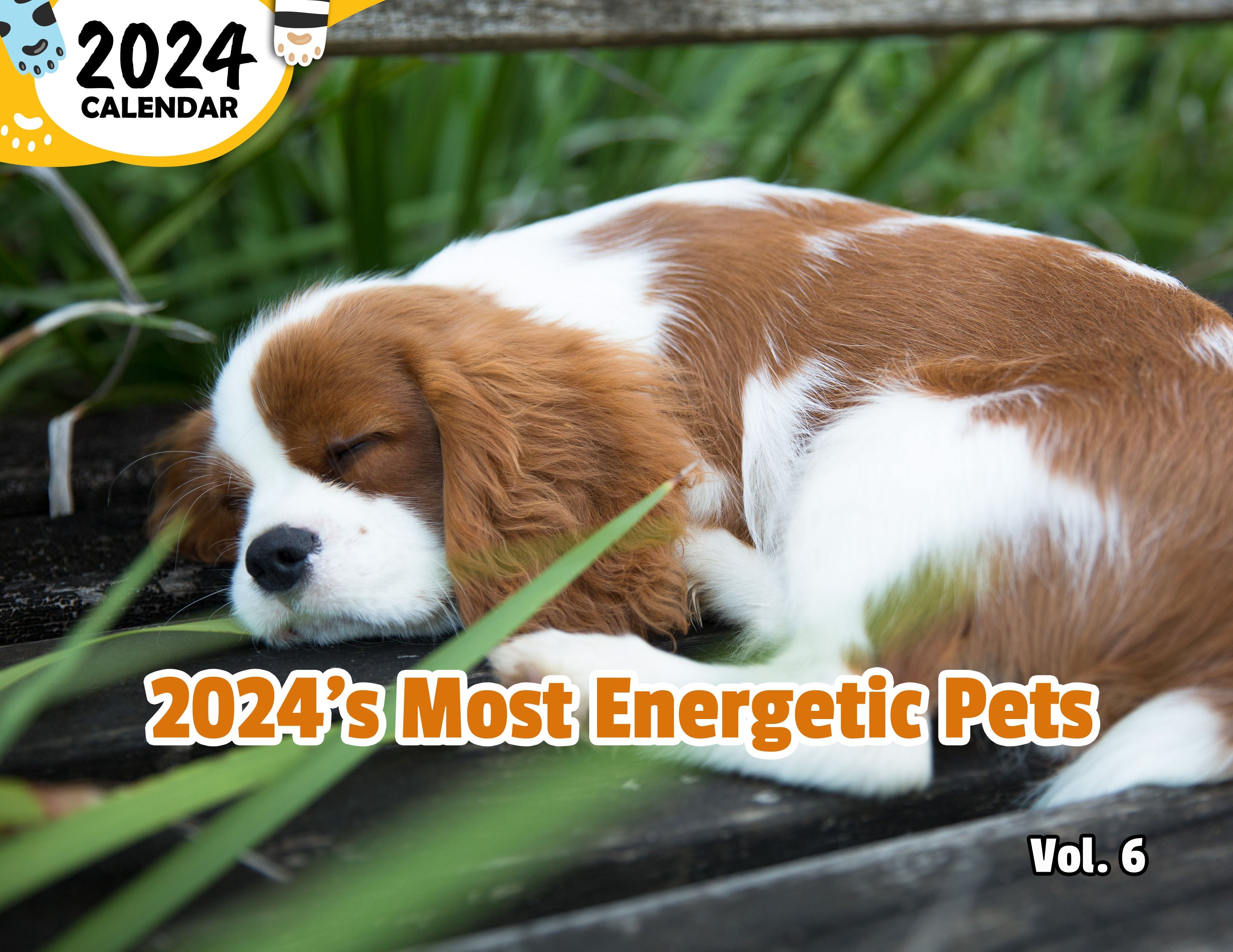 2024's Most Energetic Pets Volume Six: 2024 Wall Calendar (Published)