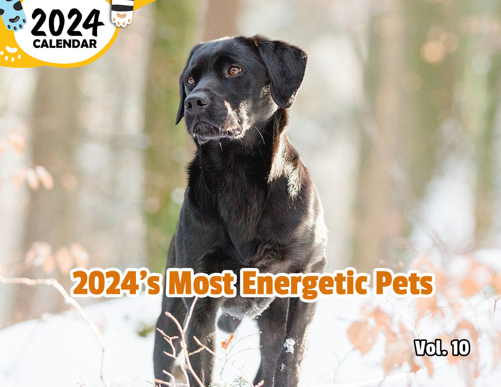 2024's Most Energetic Pets Volume Ten: 2024 Wall Calendar (Published)