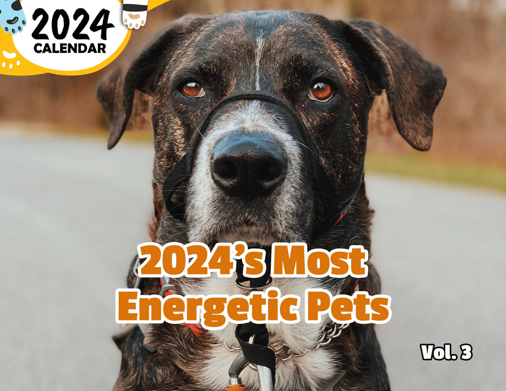 2024's Most Energetic Pets Volume Three: 2024 Wall Calendar (Published)