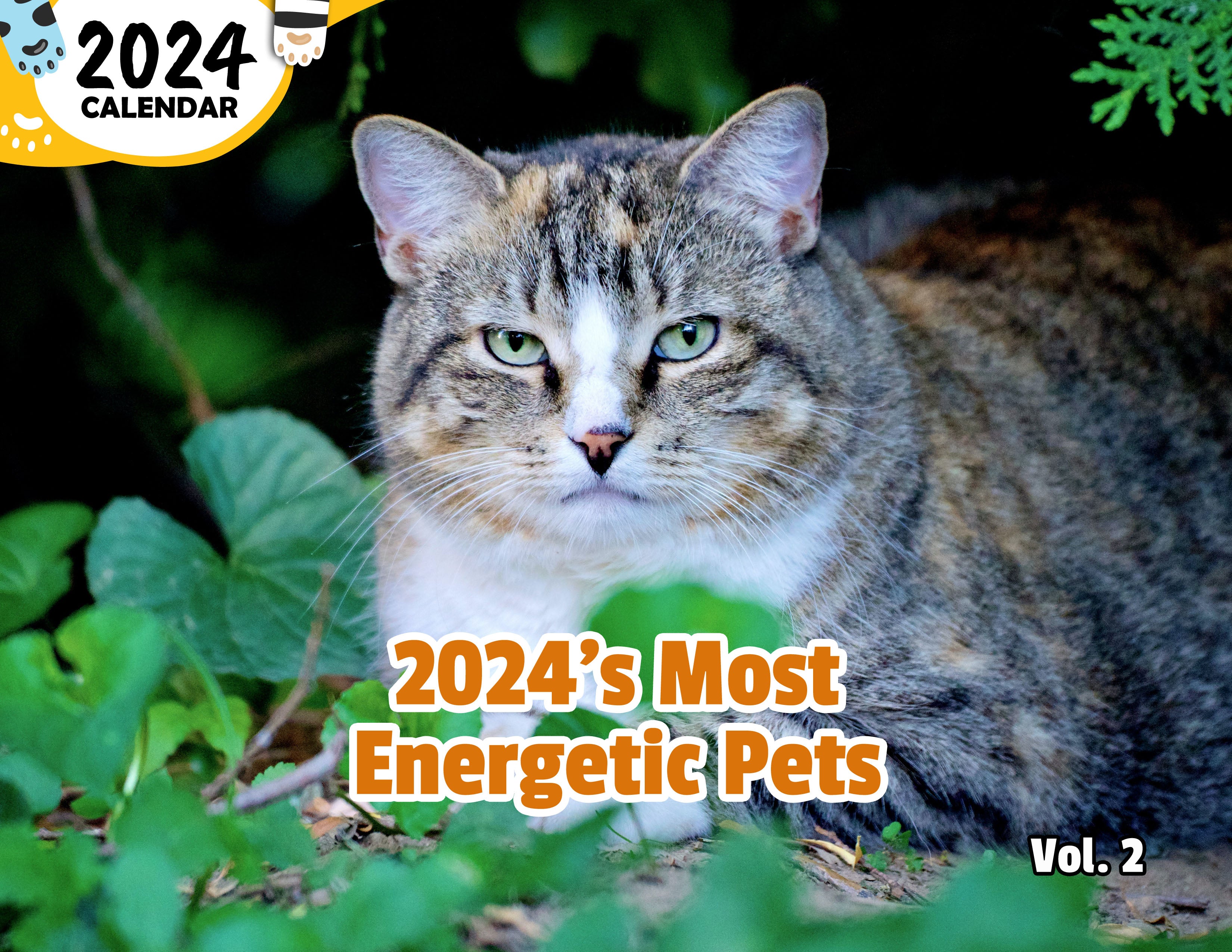 2024's Most Energetic Pets Volume Two: 2024 Wall Calendar (Published)