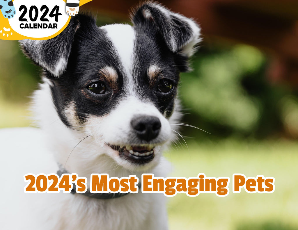 2024's Most Engaging Pets: 2024 Wall Calendar (Published)