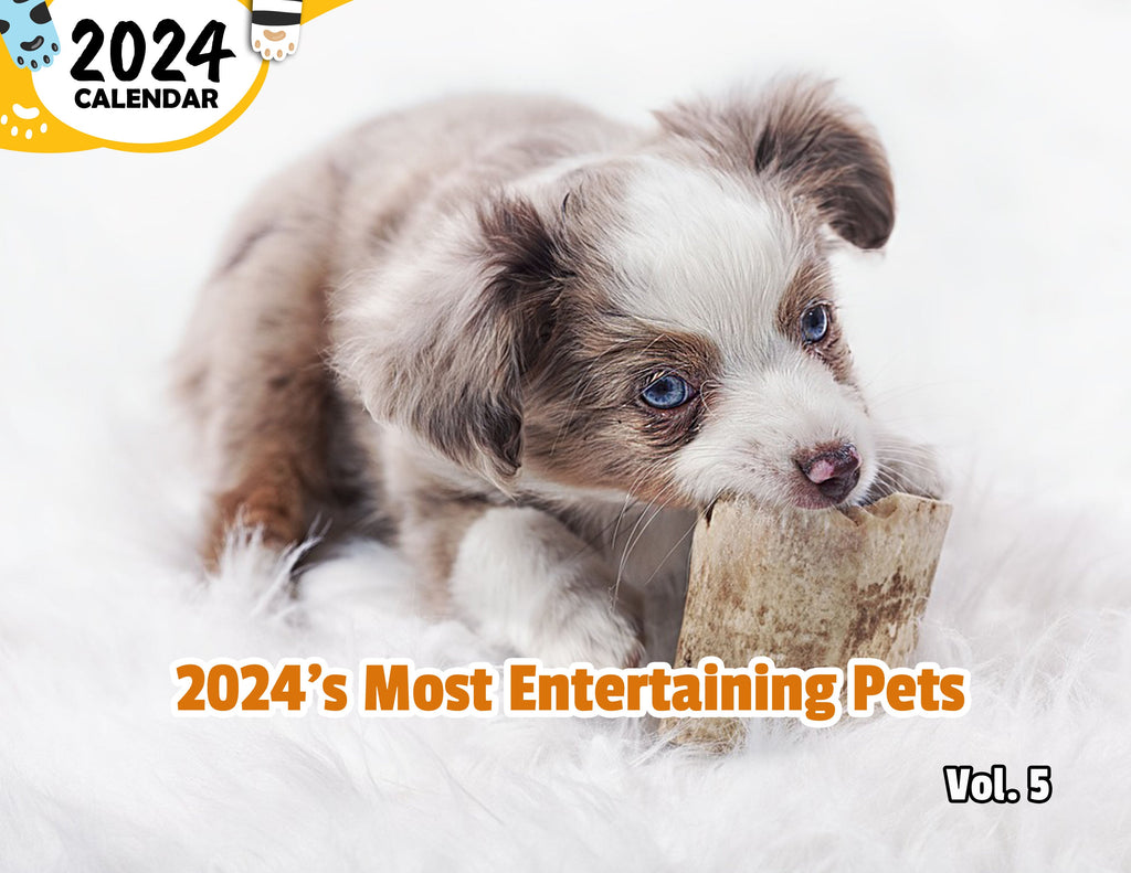 2024's Most Entertaining Pets Volume Five: 2024 Wall Calendar (Published)