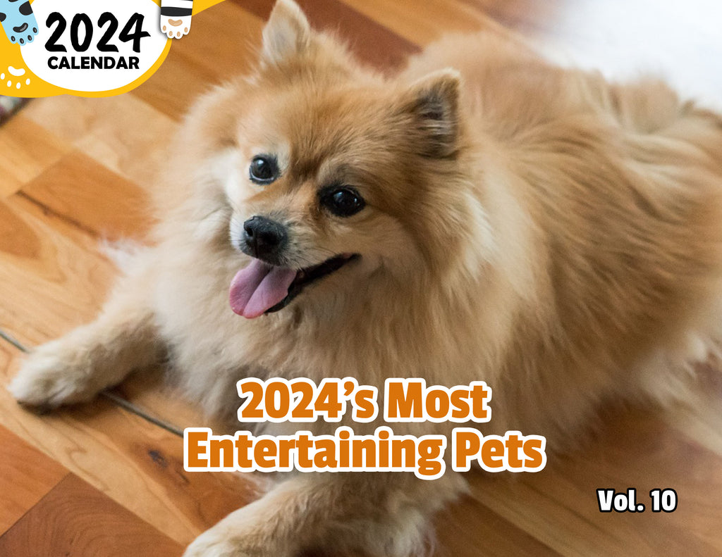 2024's Most Entertaining Pets Volume Ten: 2024 Wall Calendar (Published)
