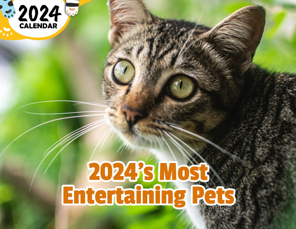 2024's Most Entertaining Pets: 2024 Wall Calendar (Published)