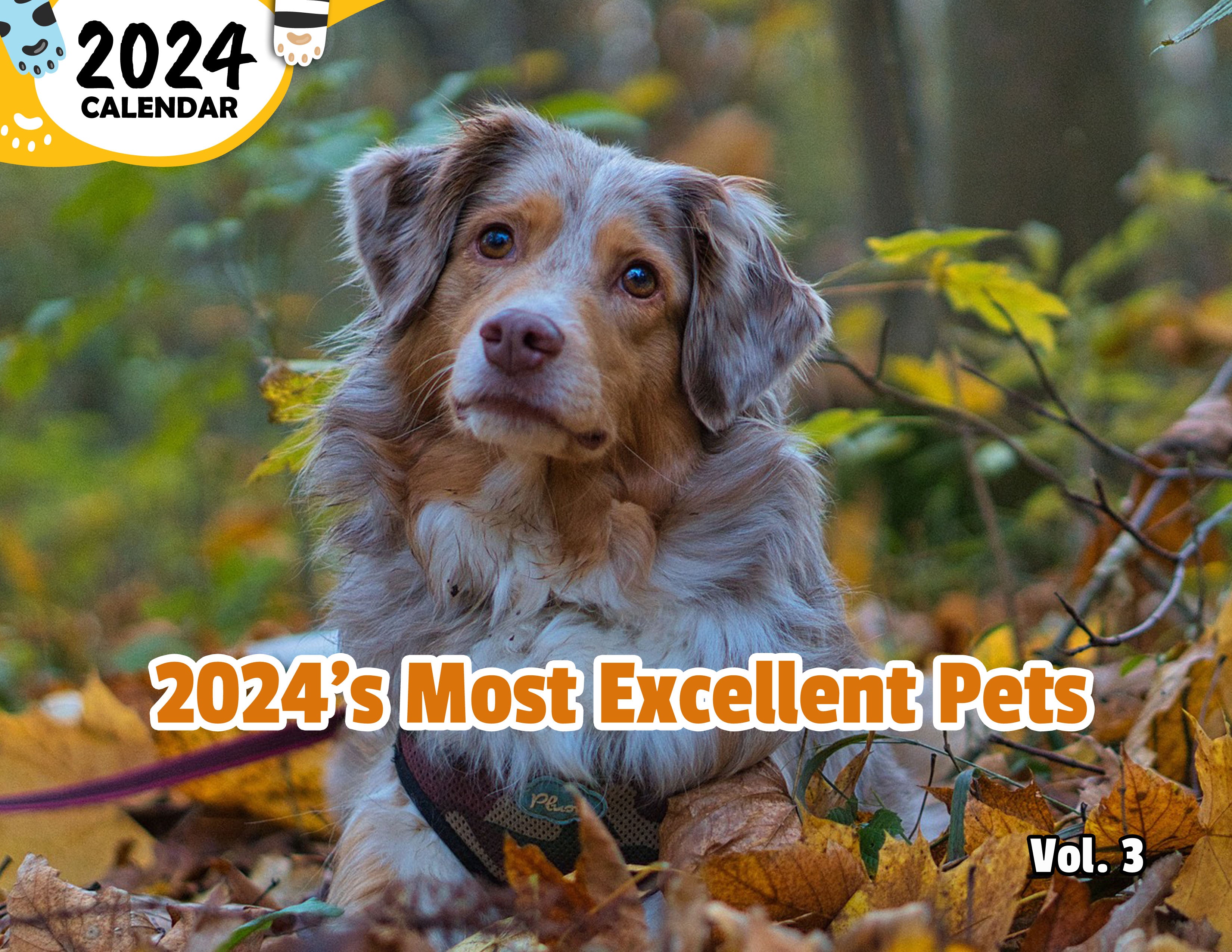 2024's Most Excellent Pets Volume Three: 2024 Wall Calendar (Published)