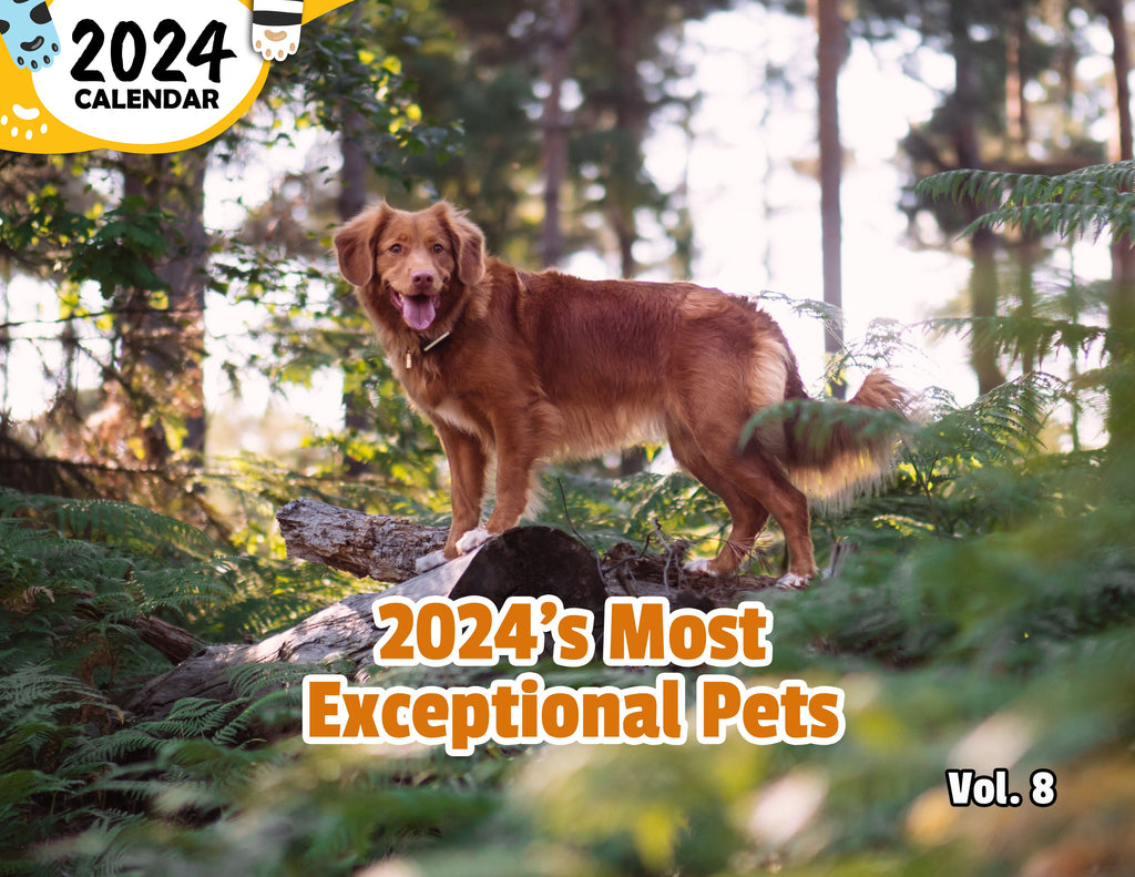 2024's Most Exceptional Pets Volume Eight: 2024 Wall Calendar (Published)
