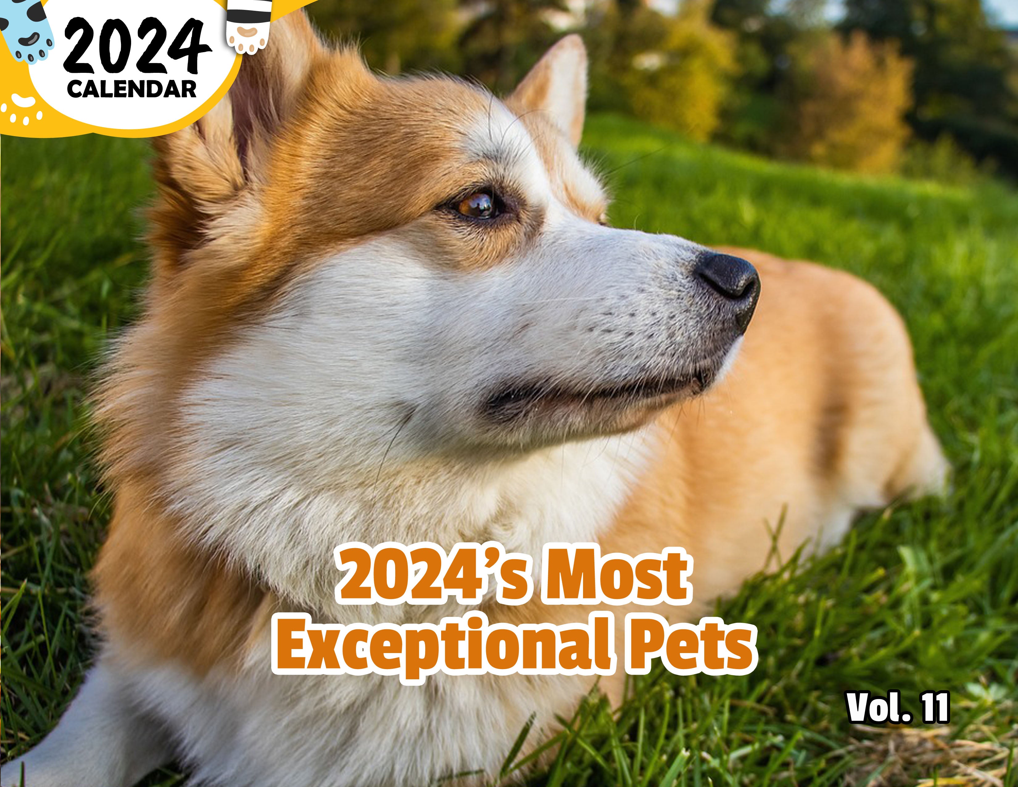 2024's Most Exceptional Pets Volume Eleven: 2024 Wall Calendar (Published)