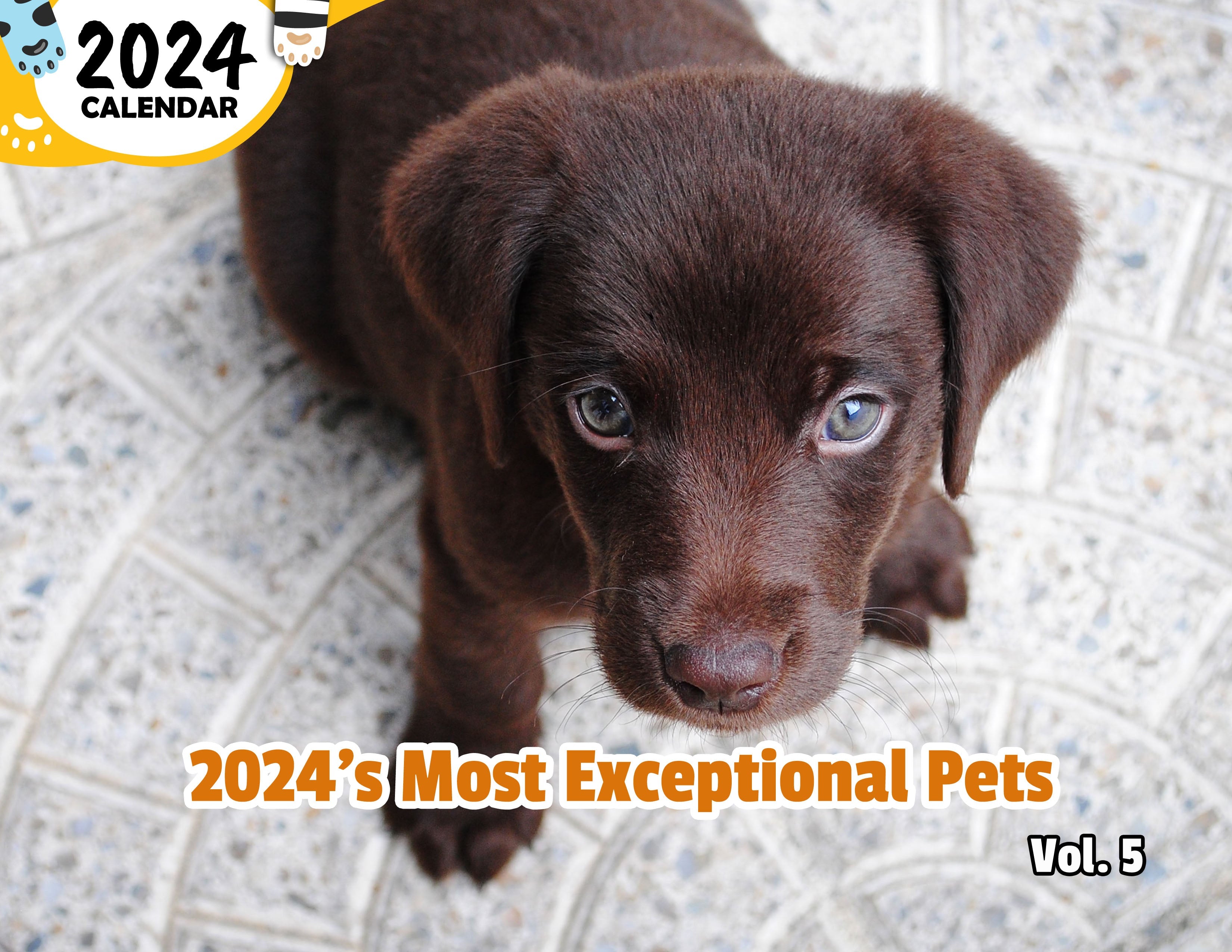 2024's Most Exceptional Pets Volume Five: 2024 Wall Calendar (Published)