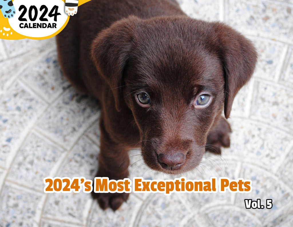 2024's Most Exceptional Pets Volume Five: 2024 Wall Calendar (Published)