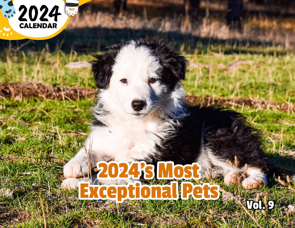 2024's Most Exceptional Pets Volume Nine: 2024 Wall Calendar (Published)