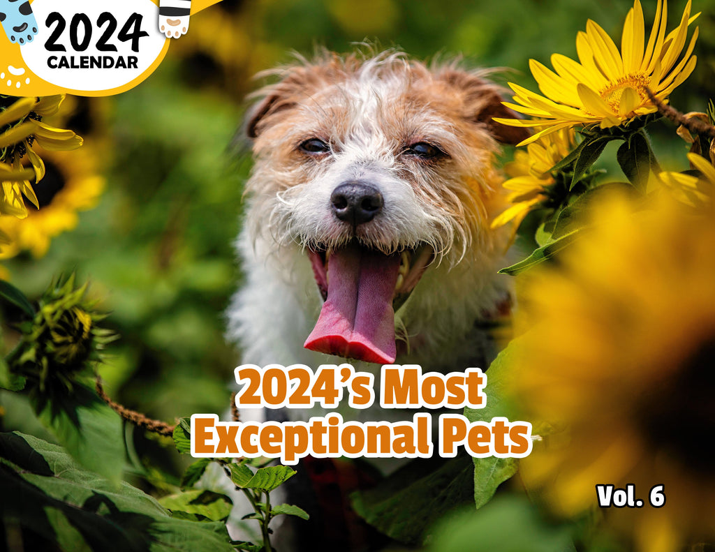 2024's Most Exceptional Pets Volume Six: 2024 Wall Calendar (Published)