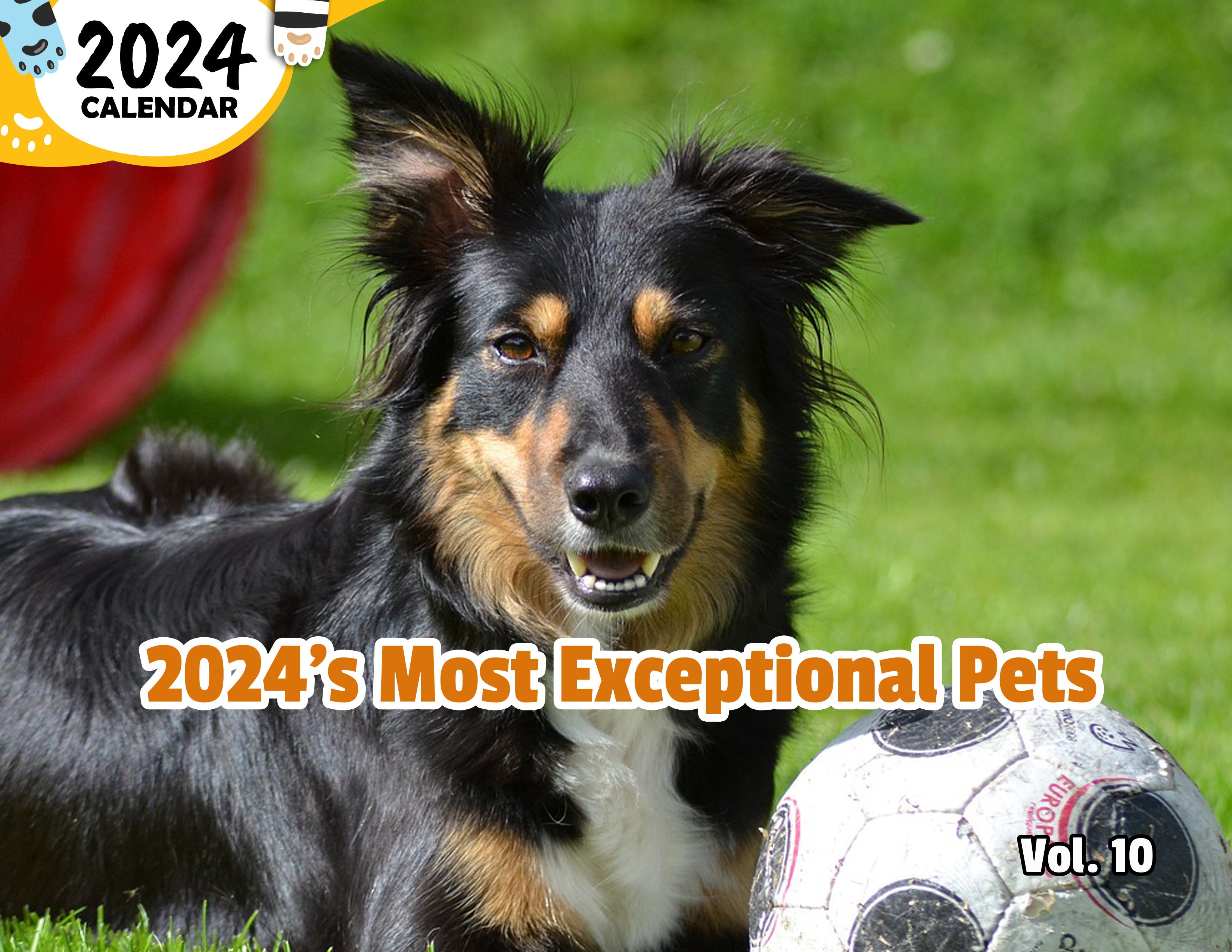 2024's Most Exceptional Pets Volume Ten: 2024 Wall Calendar (Published)