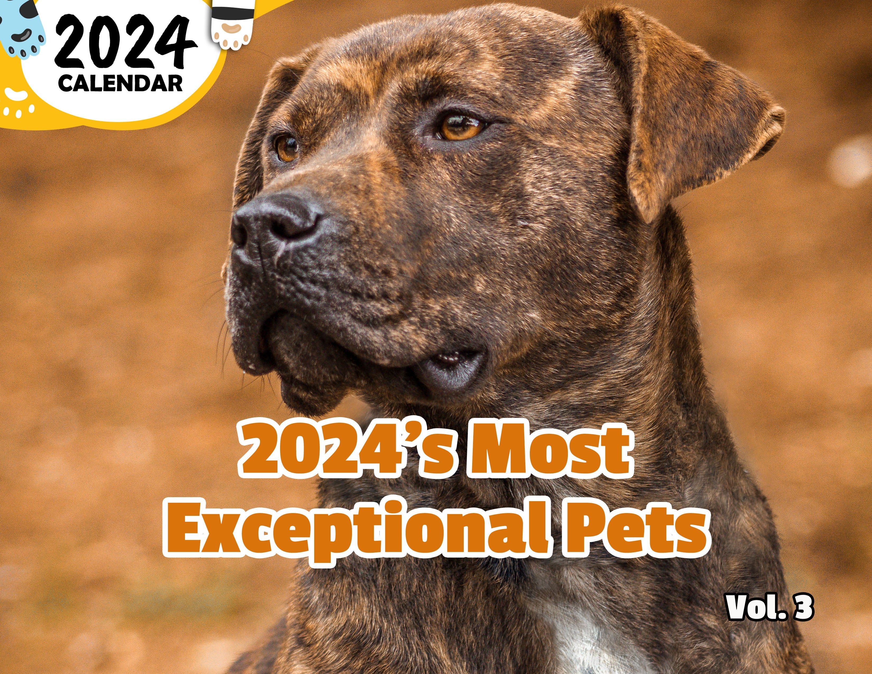 2024's Most Exceptional Pets Volume Three: 2024 Wall Calendar (Published)