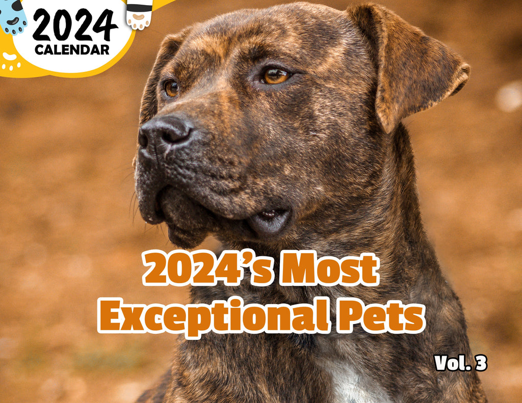 2024's Most Exceptional Pets Volume Three: 2024 Wall Calendar (Published)