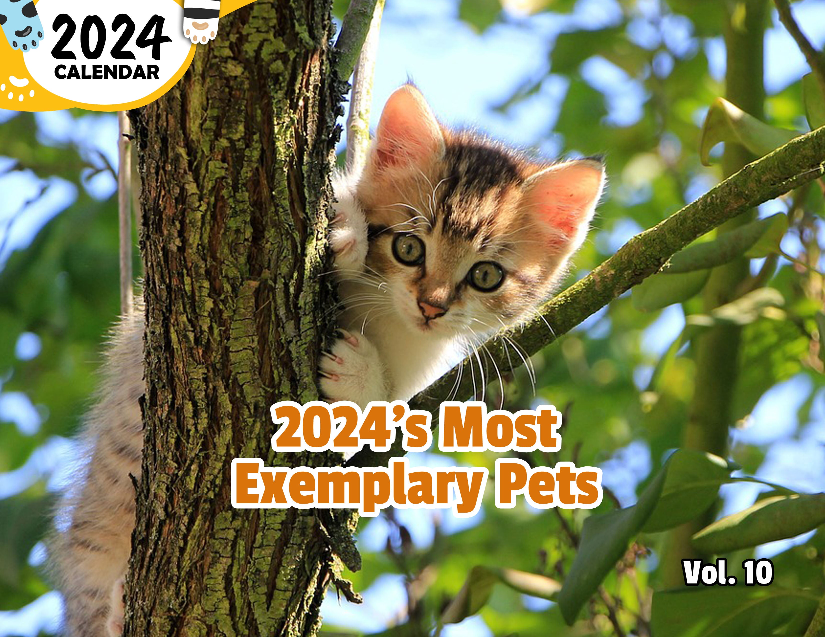 2024's Most Exemplary Pets Volume Ten: 2024 Wall Calendar (Published)