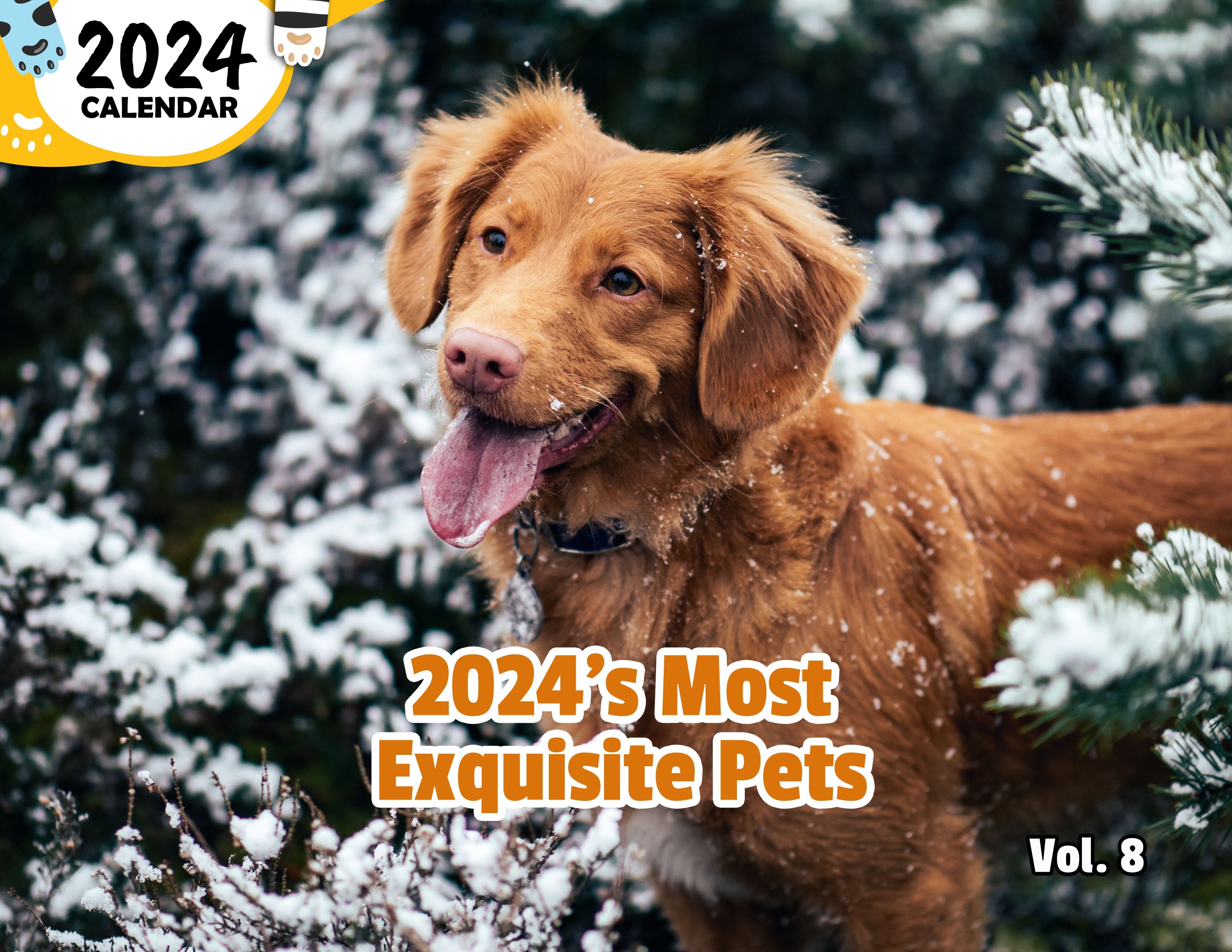2024's Most Exquisite Pets Volume Eight: 2024 Wall Calendar (Published)