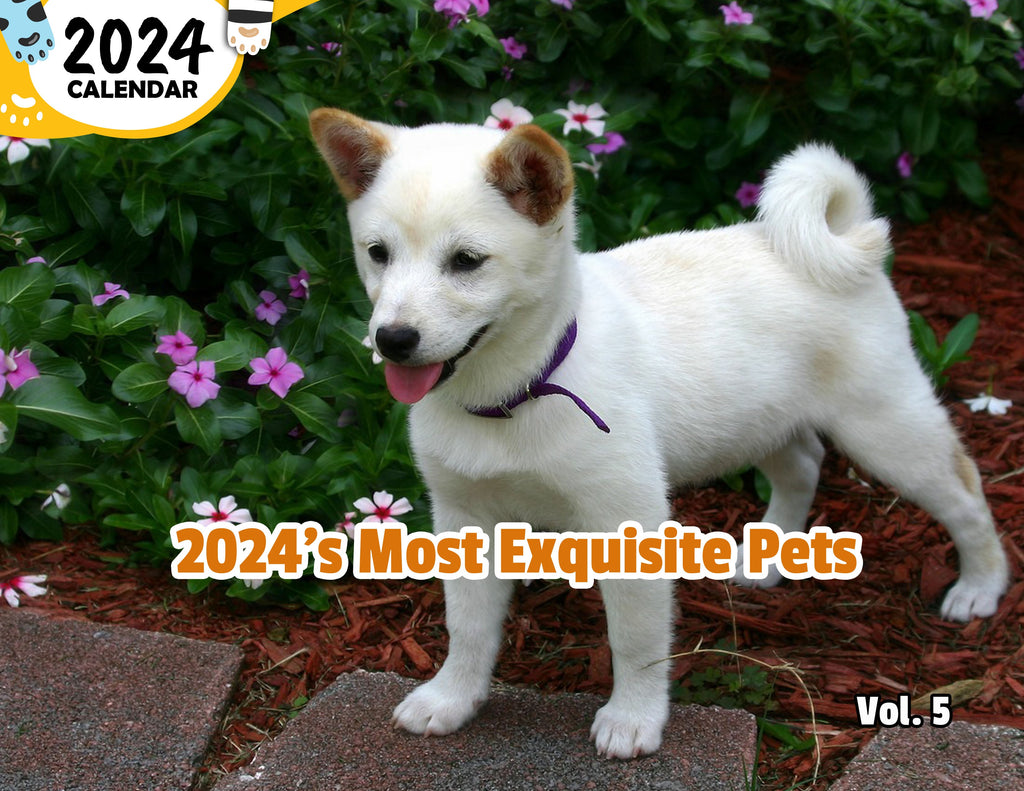 2024's Most Exquisite Pets Volume Five: 2024 Wall Calendar (Published)