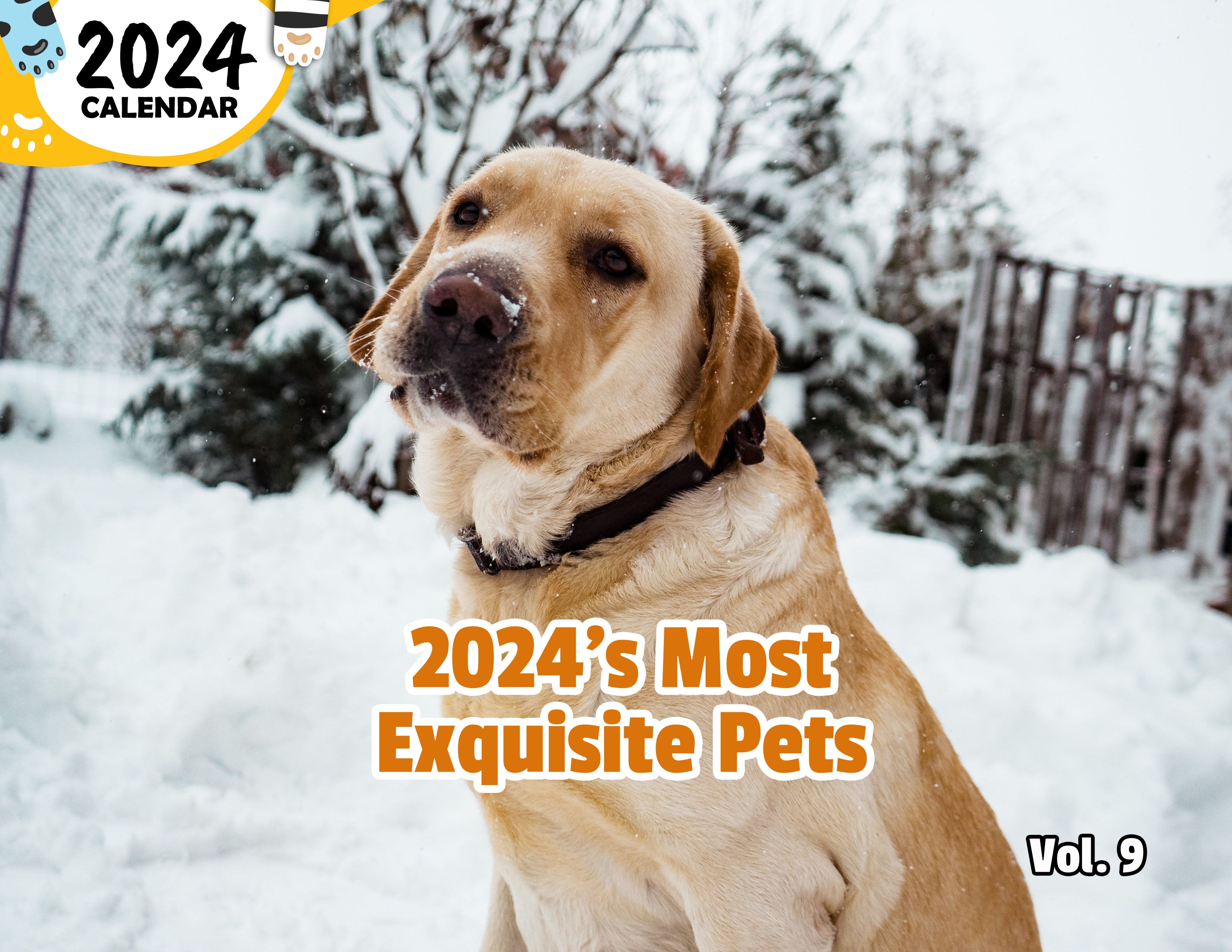 2024's Most Exquisite Pets Volume Nine: 2024 Wall Calendar (Published)
