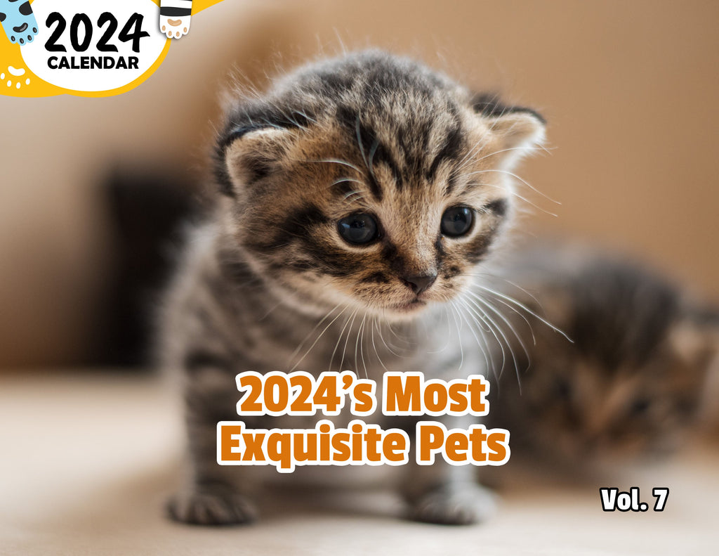2024's Most Exquisite Pets Volume Seven: 2024 Wall Calendar (Published)