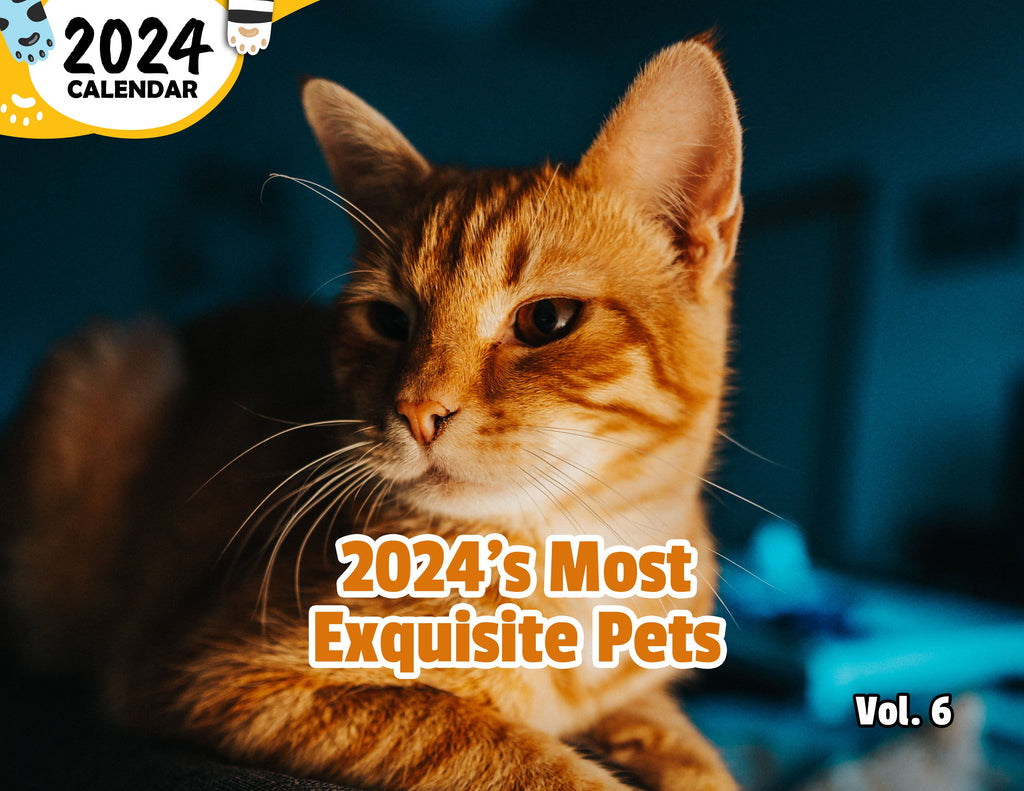 2024's Most Exquisite Pets Volume Six: 2024 Wall Calendar (Published)