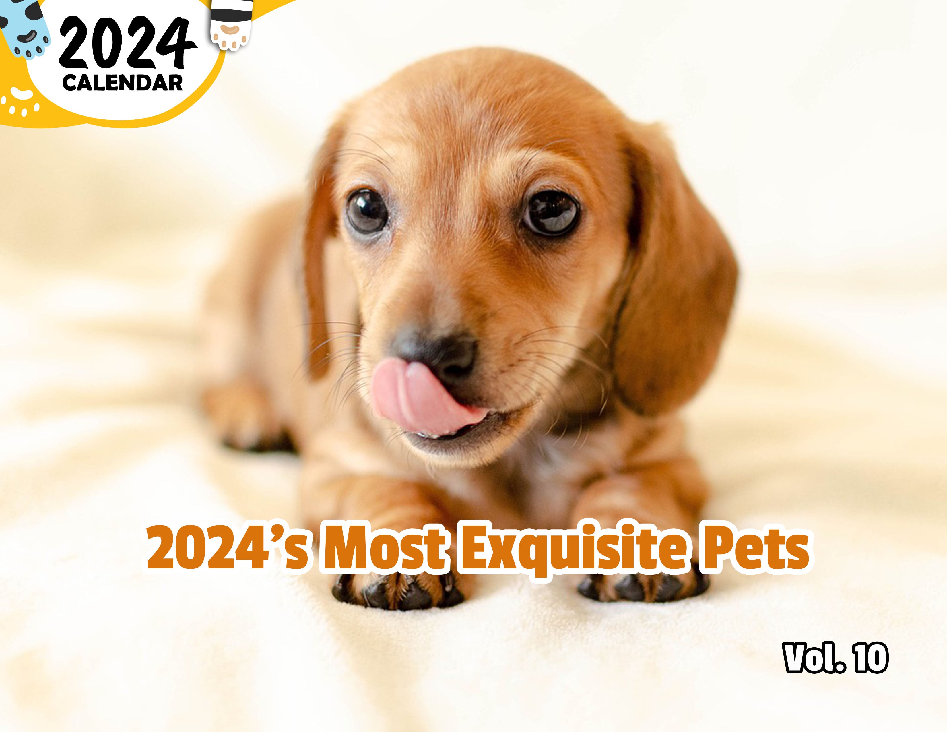 2024's Most Exquisite Pets Volume Ten: 2024 Wall Calendar (Published)