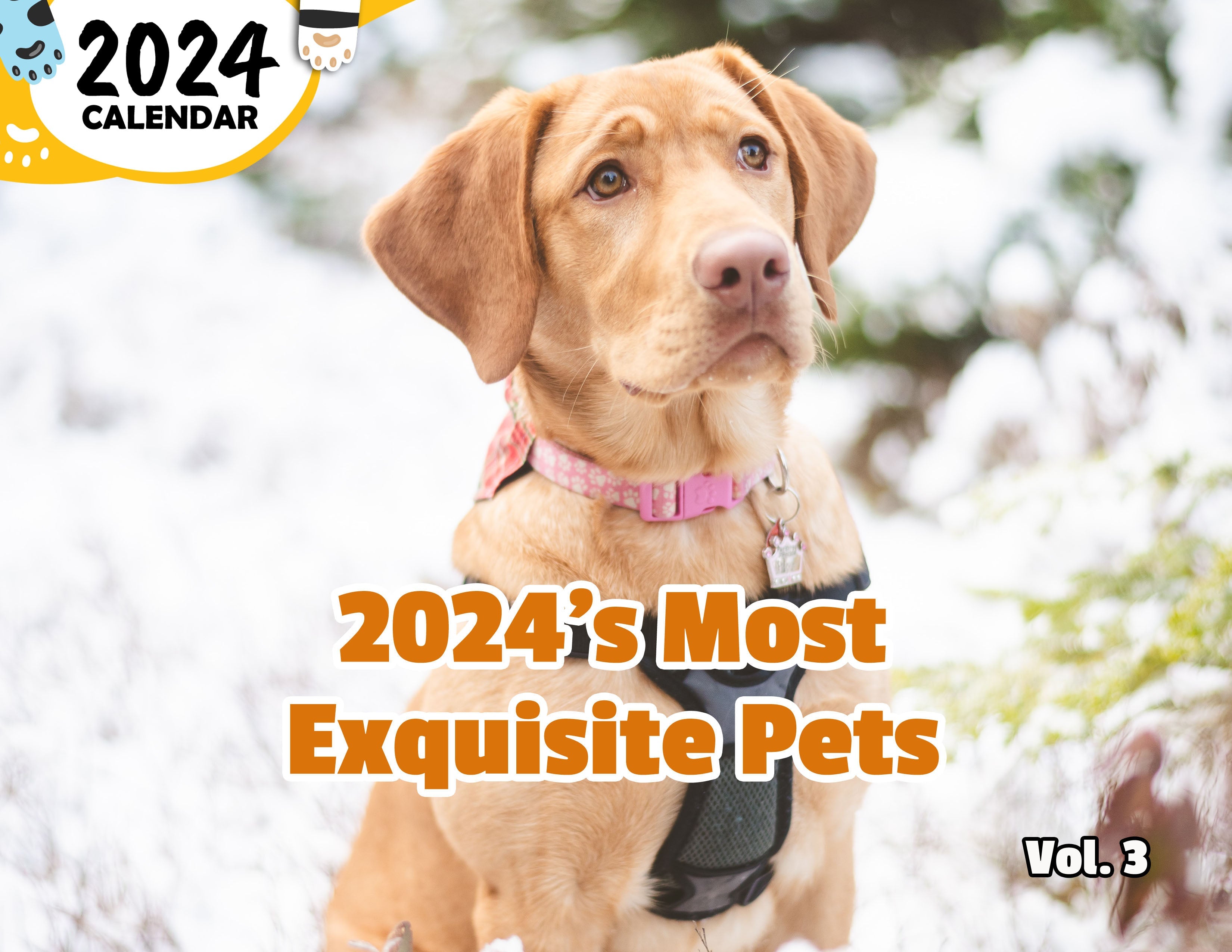 2024's Most Exquisite Pets Volume Three: 2024 Wall Calendar (Published)