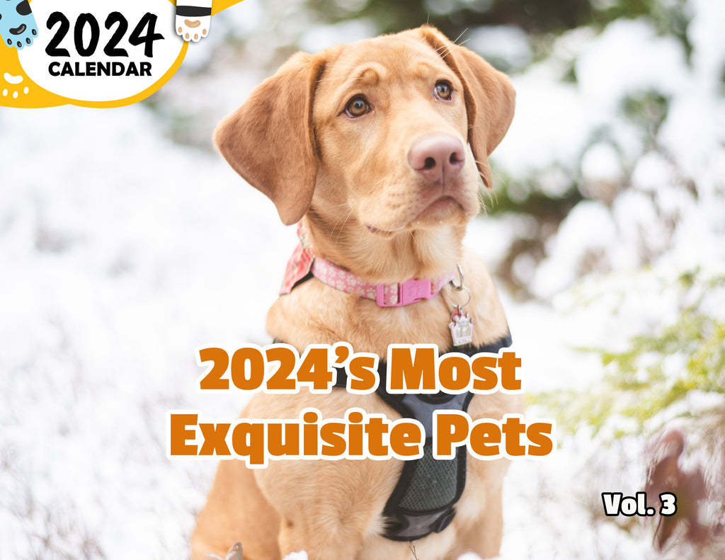 2024's Most Exquisite Pets Volume Three: 2024 Wall Calendar (Published)