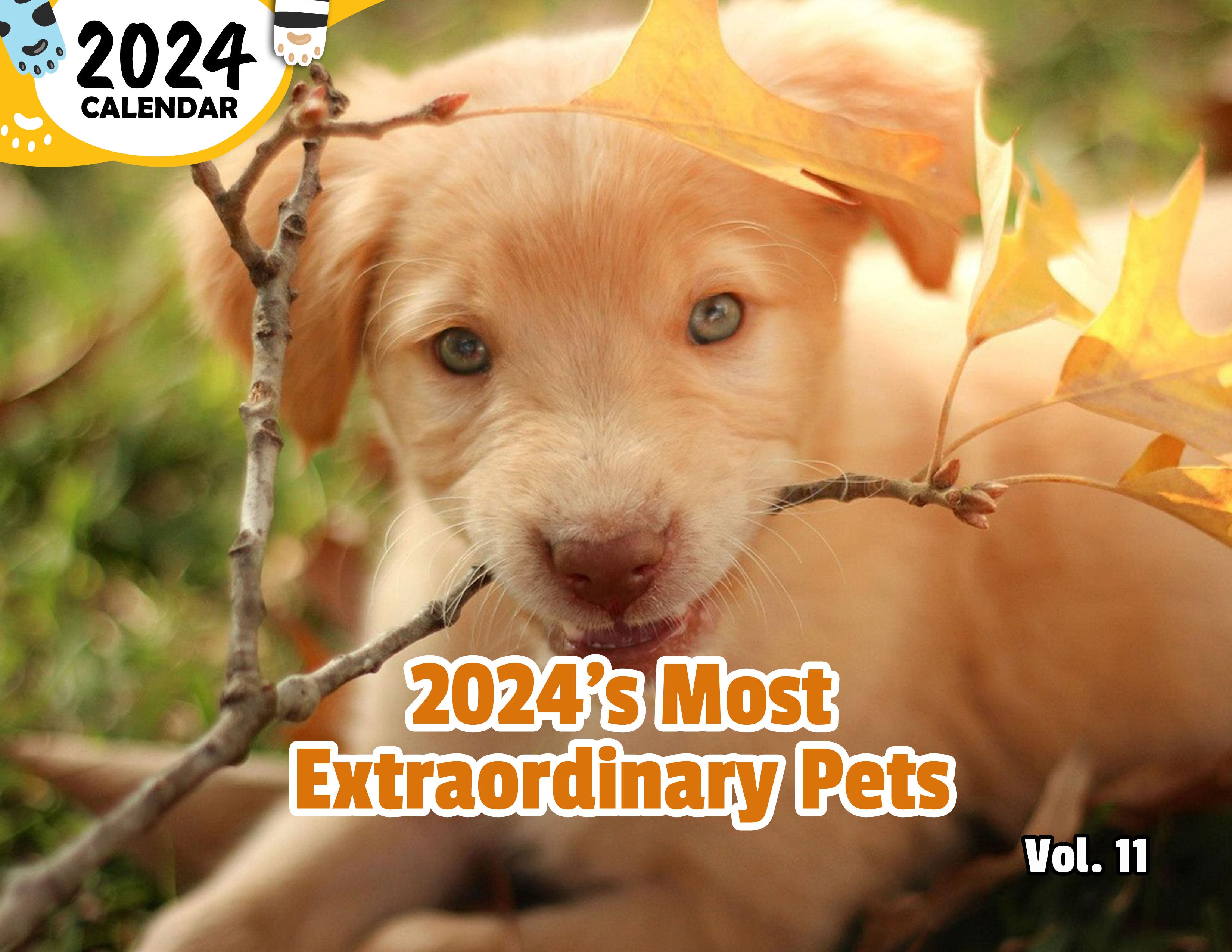 2024's Most Extraordinary Pets Volume Eleven: 2024 Wall Calendar (Published)