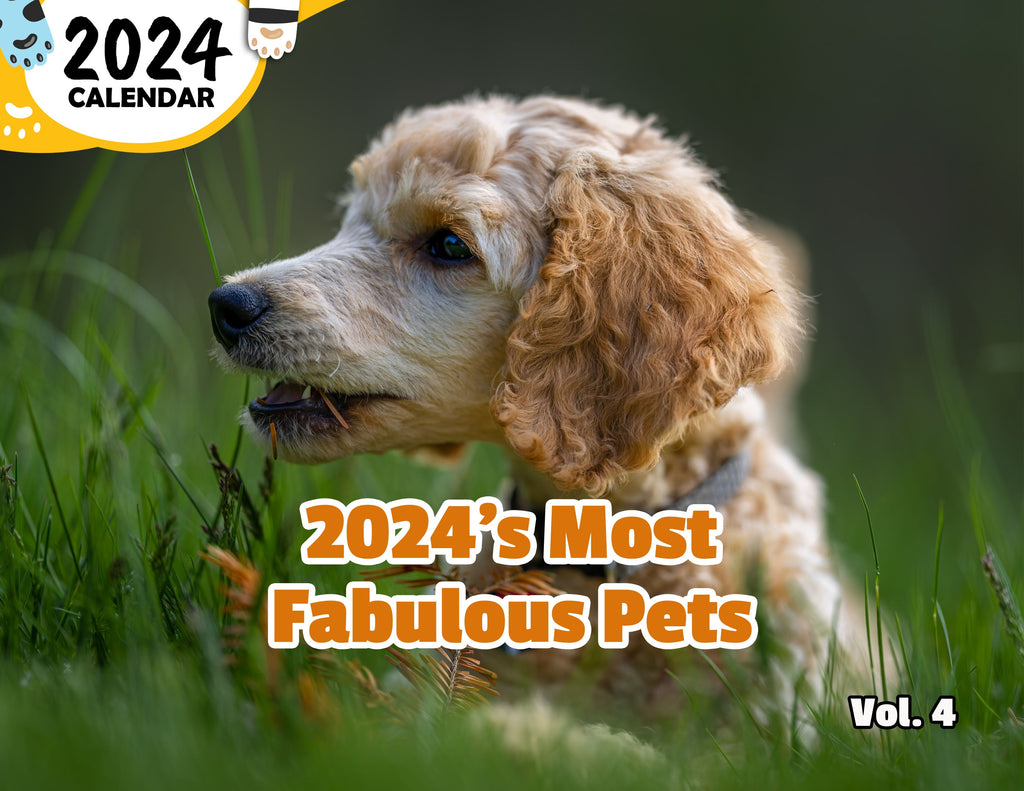 2024's Most Fabulous Pets Volume Four: 2024 Wall Calendar (Published)