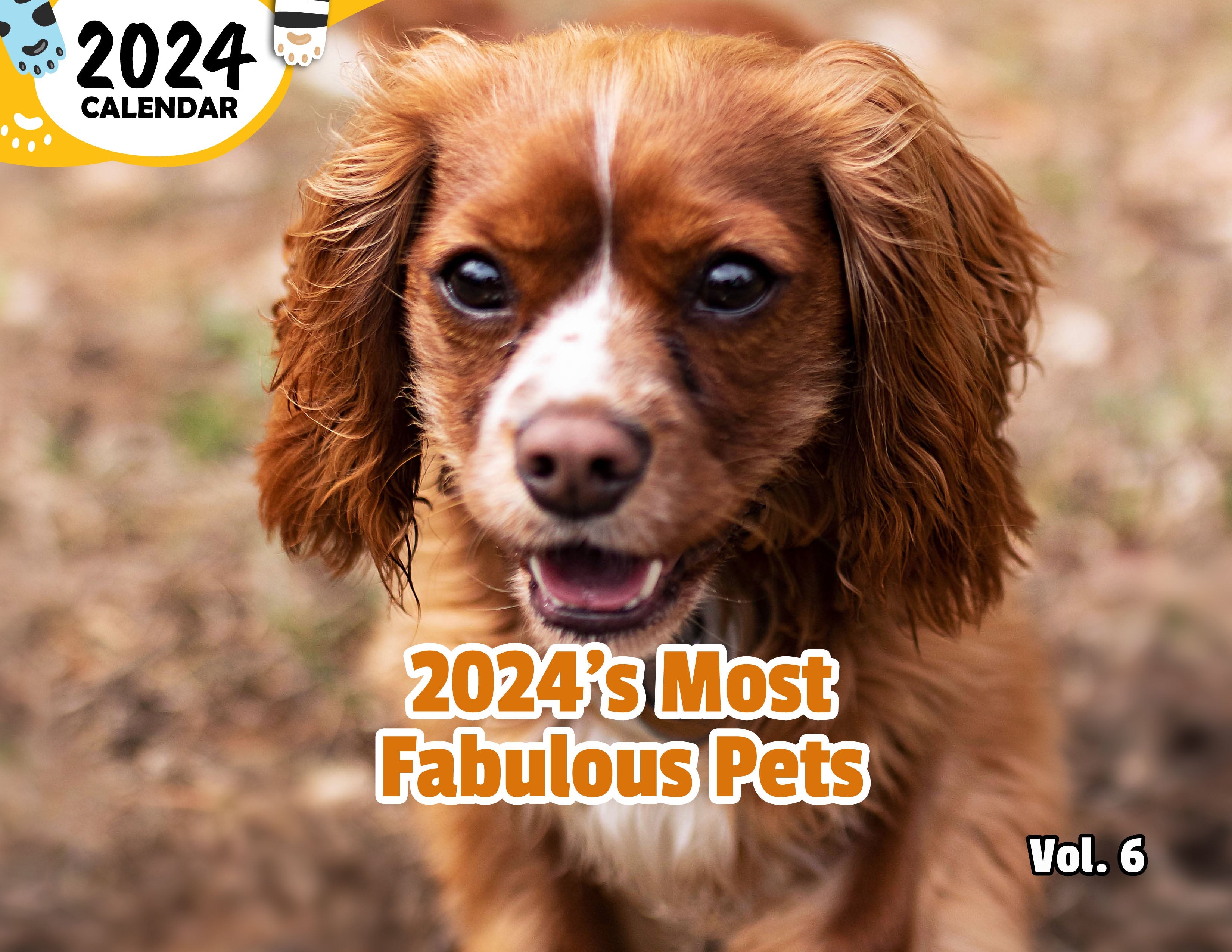 2024's Most Fabulous Pets Volume Six: 2024 Wall Calendar (Published)